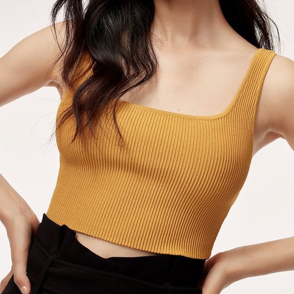NWOT Babaton Sculpt Knot Squareneck Cropped Tank